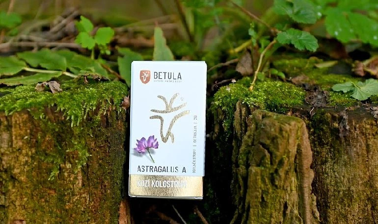 Astragalus membranaceus + kolostrum: Jak mogą pomóc Twojemu zdrowiu?